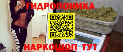 ГАЛЛЮЦИНОГЕННЫЕ ГРИБЫ Будённовск