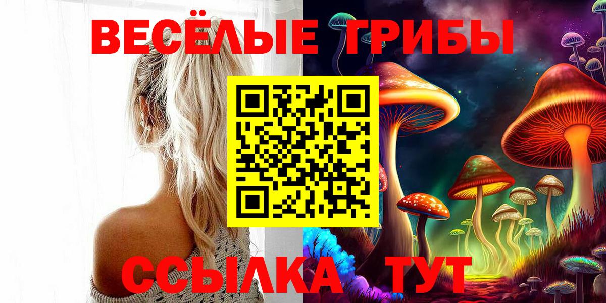 Галлюциногенные грибы GOLDEN TEACHER  Вход с VPN  Самара 