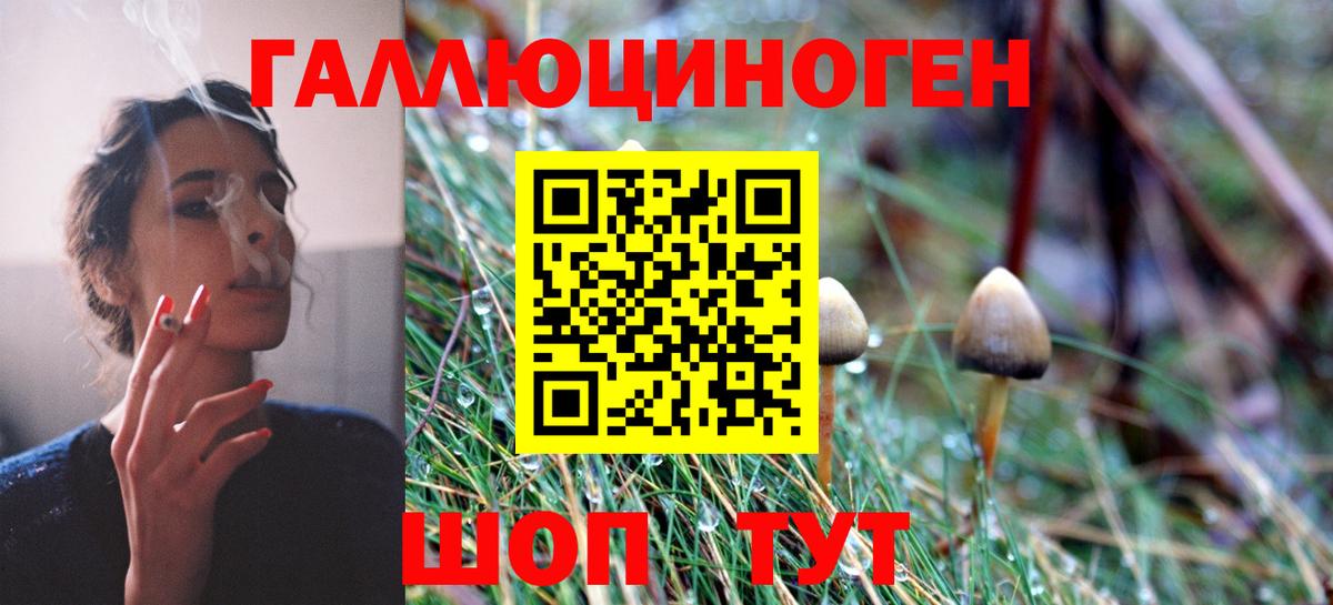 Псилоцибиновые грибы Psilocybine cubensis Самара